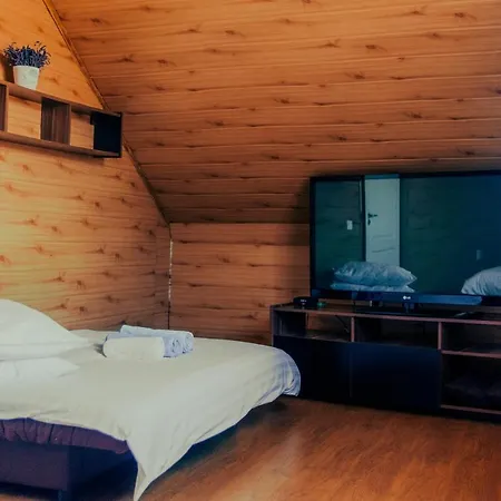 Vladeasa Holiday home *