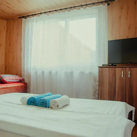 Vladeasa Holiday home *
